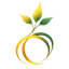 Seedance